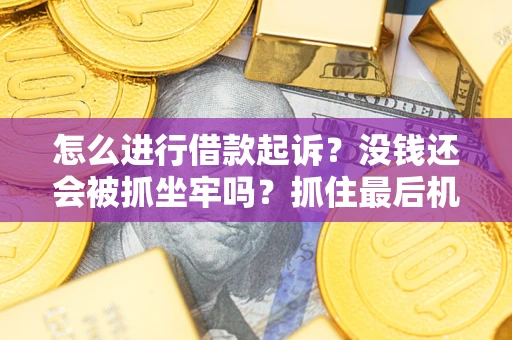 北京怎么进行借款起诉？没钱还会被抓坐牢吗？抓住最后机会！