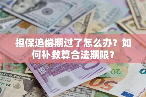北京担保追偿期过了怎么办？如何补救算合法期限？